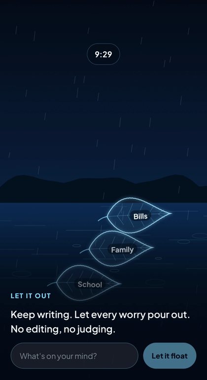 Worry dump in the WELL with Loretta app